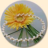 Perlen-Halsreif Romantica